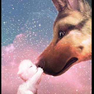 Логотип телеграм канала @onpociki — 𐋏ᥱδ᧐᧘ьɯ᧐ᥔ уᴦ᧐᧘᧐κ🐣🦋