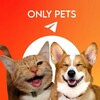 Логотип телеграм канала @oonly_pets — Only Pets