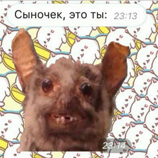 Логотип телеграм канала @ooomoya — Моя оборона