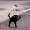 Логотип телеграм канала @op_aerokos — Выкрики из зала🤡
