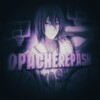 Логотип телеграм канала @opacherepash_nba — Opacherepash