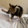 Логотип телеграм канала @opasnygoro — Опасный гороскоп