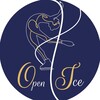 Логотип телеграм канала @openicespb — OPEN ICE | Фигурное катание Санкт-Петербург
