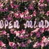 Логотип телеграм канала @openmindednsk — open-minded | Новосибирск