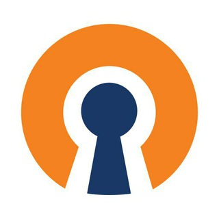 Логотип телеграм канала @openvpnsellertm — LionVpnSellerTM