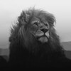 Логотип телеграм канала @opora_motivation — Точка опоры