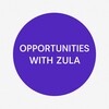 Логотип телеграм канала @opportunities_zula — Opportunities with Zula