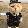Логотип телеграм канала @oproshik7 — Опросничек Ru