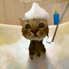 Логотип телеграм канала @oprosi_deda — опросы деда