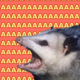 Логотип телеграм канала @optimisticopossum — öптимистичный опоссум