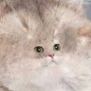 Логотип телеграм канала @or_dolboyeba — Смешные картинки для тебя