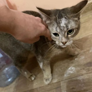 Логотип телеграм канала @oralkaaa — Оралово 🔞