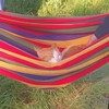 Логотип телеграм канала @orangecat_sim — Меняльник "РЫЖИЙ КОТ" | Симферополь