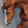 Telegram channel Оранжевые заметки🏇 logo