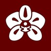 Telegram channel Orchid News logo