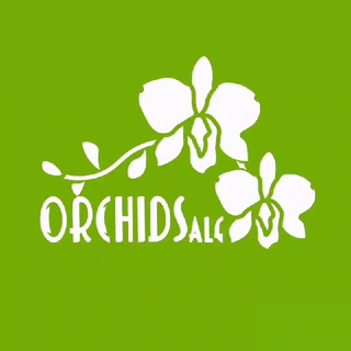 Логотип телеграм канала @orchidsale — Orchidsale - орхидеи в Ташкенте