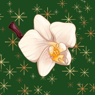Логотип телеграм -каналу orchidsporadu — 🌸ОРХІДЕЇ🌱КВІТИ🌱ДОГЛЯД🌸