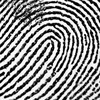 Логотип телеграм канала @ordo_expertum — Ordo Expertum