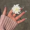 Логотип телеграм канала @orehska — орешка🦩