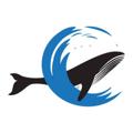 Logo saluran telegram orenwhalecalls — ☎️Oren Whales calls🐳