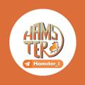 Logo saluran telegram org_hamster — Hamster | همستر