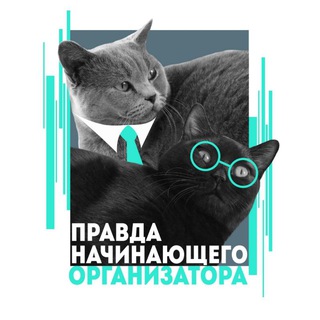 Логотип телеграм канала @orgazmiator — Правда начинающего организатора