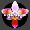 Логотип телеграм канала @orhideidv — ОРХидеи DV