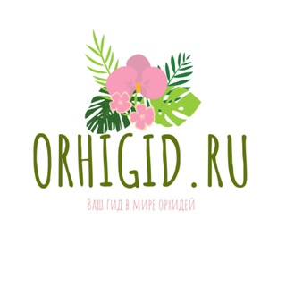 Лагатып тэлеграм-канала orhigid — Orhigid.ru