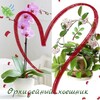 Логотип телеграм канала @orhohoya — Орхидейный🌺 Хоешник🌿