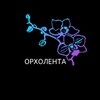 Логотип телеграм канала @orholenta — Орхолента