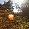 Логотип телеграм канала @orienteerslove — ориентировщики любят