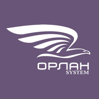 Логотип телеграм канала @orlan_system — ОРЛАН System - цифровая платформа