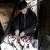 Логотип телеграм канала @orlovdavydovsky — Georgy Orlov-Davydovsky / Георгий Орлов-Давыдовский