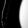 Логотип телеграм канала @orlovsex — саблевидная кость 🔞