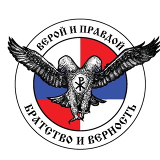 Logo saluran telegram orly_rs — 🇷🇺 Zлые ОрлоVи 🇷🇸