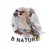 Логотип телеграм канала @ornitologytulakadr — В Nature | Даниил Маликов