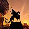 Логотип телеграм канала @ornitologz — ОрнитологZ