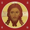 Логотип телеграм канала @orthodox_domus — Серафим Бирюков / Литература и искусство глазами христианина
