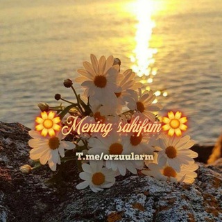 Telegram kanalining logotibi orzuularm — 🌼Mening sahifam📔
