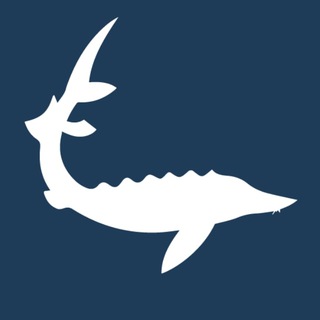 Логотип телеграм канала @osetrovich_dostavka — Осетрович - доставка рыбы и морепродуктов