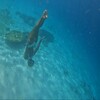 Логотип телеграм канала @oseyafreediving — OSEYA Freediving/школа фридайвинга