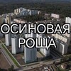 Логотип телеграм канала @osinka_life — Осиновая Роща "Жизнь нашего городка"