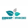 Логотип телеграм канала @osoyp3hwvnexnjky — Профсоюз БИАКСПЛЕН