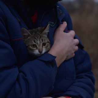 Логотип телеграм канала @ostavivshie_sled — оставившие след.