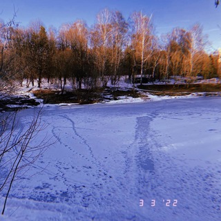 Логотип телеграм канала @ostayemsya — остаемся зимовать
