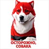 Логотип телеграм канала @ostorozhno_sobaka — Осторожно, собака