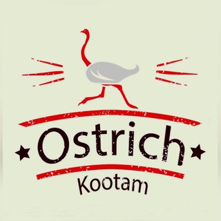 Logo of telegram channel ostrichkootam — Ostrich kootam© • Announcements