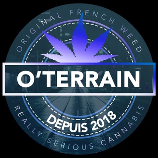 Logo de la chaîne télégraphique oterrainofficiel - OTERRAIN
