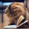 Логотип телеграм канала @otiplcit — Цитатник ОТиПЛа