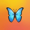 Логотип телеграм канала @otkrytki_dlya_tebya — 🦋ПОЗДРАВОК🦋
